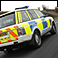 police car